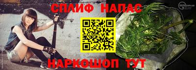 хмурый Бийск